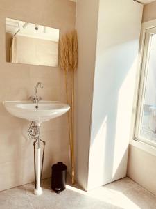 un baño con lavabo y espejo en Casita aan Zee 2 slaapkamers 2 badkamers 3 min van zee, en Zandvoort 5 fotos más