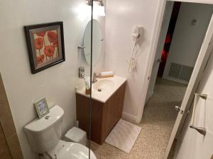 a bathroom with a toilet and a sink and a mirror at Stayover In Miami Home 2BR - 1BTH - free parking in Miami