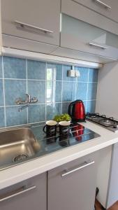 uma cozinha com um lavatório e um fogão forno superior em Apartmani Masline em Jasenice