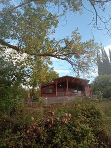 una casa de madera en un campo con árboles en Το σπιτάκι του Σπύρου, en Oinokhórion