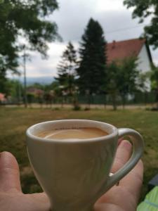 Paesaggio naturale nelle vicinanze della casa vacanze