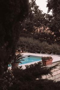 een zwembad met twee potplanten ernaast bij B&B Le Corone - Chalet nel Bosco in Cavalo