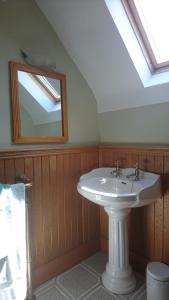 a bathroom with a white sink and a mirror at Rossclare Lodge in Enniskillen