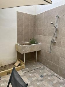 baño con lavabo y planta en Dimora Nonna Ada, en Aradeo