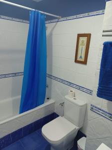 baño con aseo y cortina de ducha azul en Malaguetor Home, en Málaga