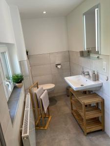 uma casa de banho com um lavatório e um WC em FeWo - Bergblick em Klingenthal