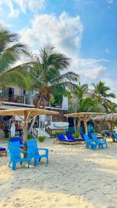a group of blue chairs on a beach with palm trees at Hotel Casa Sattva- Bed & Breakfast in Rincón