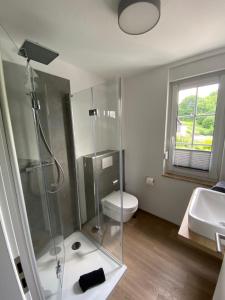 y baño con ducha, aseo y lavamanos. en Bergschlösschen Edersee en Waldeck