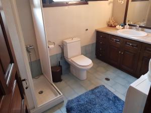 a bathroom with a toilet and a sink at Rustic by the Sea in Flogita