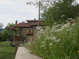 Zahrada ubytování Bed and Breakfast Country Hill