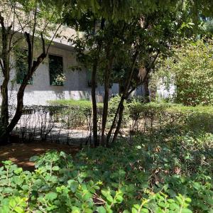 Vonkajšia záhrada v ubytovaní Studio 25 apartment - near metro M3