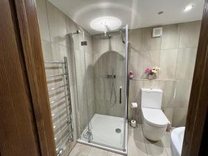 a bathroom with a shower with a toilet and a sink at Cedar Lodge in Looe