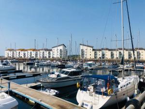 a bunch of boats docked in a marina with buildings at Arran Ferry Apartment in Ardrossan