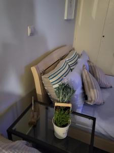 un canapé avec des oreillers et une table en verre avec une plante dans l'établissement ATHENS HAUSE BY ATHENS, à Athènes