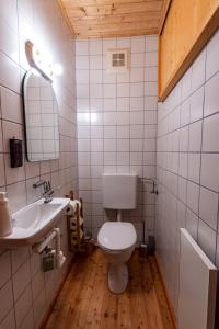 Ein Badezimmer in der Unterkunft Almhaus Falkertzeit