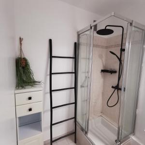a shower with a glass door next to a dresser at Chambre Nature - Tout confort près de Saint Marceau in Saint-Jean-le-Blanc