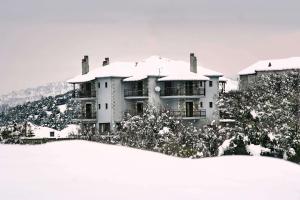 a large house with snow on the roof at Aiora Guesthouse in Vitina +19 photos