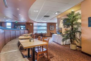 un restaurant avec des tables, des chaises et un palmier dans l'établissement Best Western Plus, Bathurst Hotel & Suites, à Bathurst