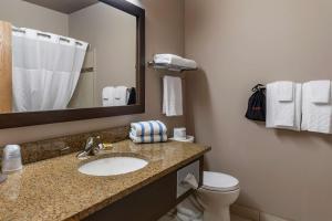 a bathroom with a sink and a toilet and a mirror at Best Western Plus Bridgewater Hotel & Convention Centre in Bridgewater