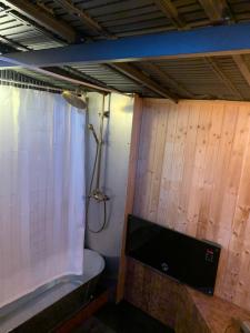a bathroom with a shower and a toilet and a television at Valhalla Yurts Freya in Selfoss