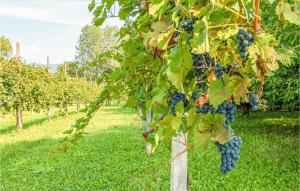 Vonkajšia záhrada v ubytovaní Casa Della Nonna