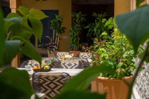 Zahrada ubytování Casa Lorenza Hotel