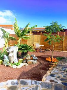 un jardín con una mesa y una palmera en BEAUTIFUL VINTAGE BUNGALOW WIFI PARKING. en Las Galletas