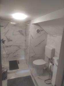 biała łazienka z toaletą i prysznicem w obiekcie Lovely loft w Klużu-Napoce