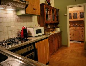博爾米奧的住宿－阿爾卑斯陽台公寓，厨房配有炉灶和微波炉。