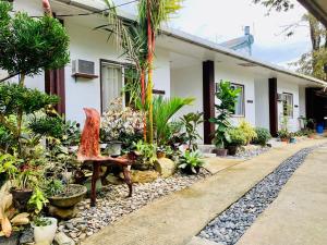 un jardín frente a una casa con macetas en Pisces Tourist Inn - Port Barton en San Vicente