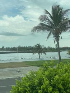 dos palmeras junto a un cuerpo de agua en NUEVO Depto vista al mar., en Boca del Río