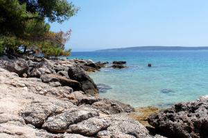 Fotografie z fotogalerie ubytování Apartments and rooms by the sea Zavala, Hvar - 8784 v destinaci Zavala