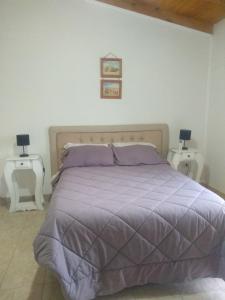a bed with a purple comforter in a bedroom at Casa tipo duplex con patio y parrilla. Muy cómoda in Neuquén