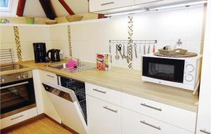 a kitchen with a counter with a microwave and a sink at Ferienhaus 72 In Frankenau in Frankenau +11 photos