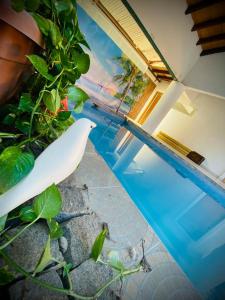 uma vista para uma piscina com um barco branco em Hotel Hassler em Assunção