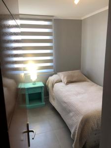 Tempat tidur dalam kamar di Departamento en el Corazon de Providencia