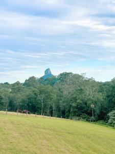 a grass field with a mountain in the background at Seven Peaks Farm Stay in Beerwah