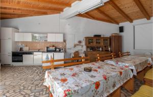 Kuchyň nebo kuchyňský kout v ubytování Stunning Apartment In Klenovica With Wifi
