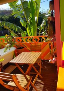einem Holztisch und einem Stuhl auf einer Terrasse mit Pflanzen in der Unterkunft Le Ti Citron Vert in Saint-Leu