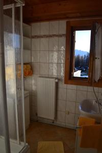 ein Bad mit einer Dusche, einem Waschbecken und einem Fenster in der Unterkunft Thomahofhuette in Tauplitzalm