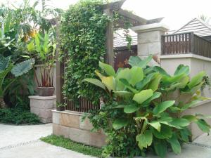 Ein Garten an der Unterkunft Bo Phut Resort and Spa - SHA Plus
