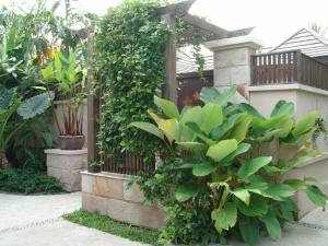 a garden with a fence and some plants at Bo Phut Resort and Spa - SHA Plus in Bophut 