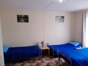 2 camas en una habitación con sábanas azules y una mesa en The Crooked Cottage en Murtoa