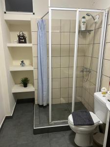 a bathroom with a shower and a toilet at Centrally Located Private Rooms in Heraklio Town