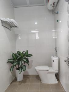 a bathroom with a toilet and a potted plant at GiaBinh Homestay in Cao Bằng