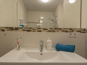 ein Waschbecken mit einer Flasche Seife und einem Spiegel in der Unterkunft Apartment Residenz am Balmer See Wohnung 44 mit Wellnessbereich in Balm