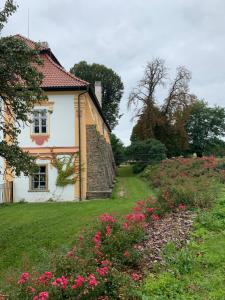 にあるZámeček Ostrovの庭のピンクの花の白い家