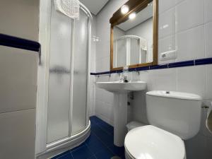 La salle de bains est pourvue de toilettes, d'un lavabo et d'une douche. dans l'établissement La Guarida de la Lleira, à Ferreras de Arriba