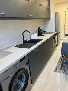 a kitchen with a sink and a washing machine at Barney Apartman in Sovata