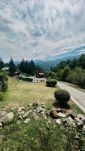 una strada accanto a un prato vicino a una strada di Trout Lodge a Collagna